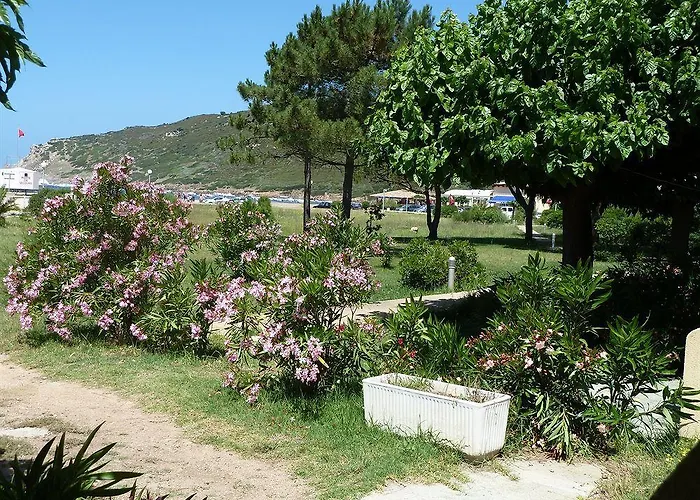 Hôtel-restaurant Marina Di Lava - Grand Ajaccio Appietto